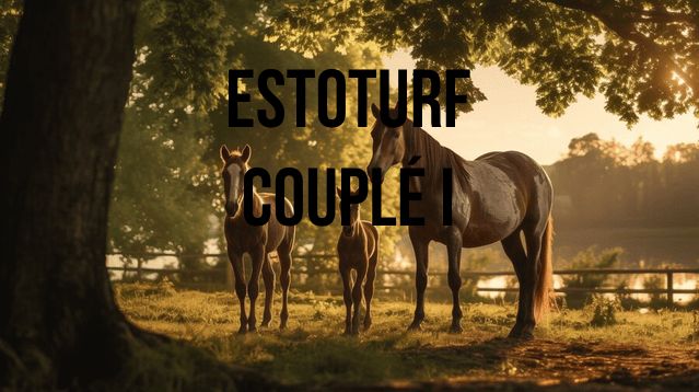 Easy-Care Luxury Lawns: Introducing EstoTurf Couplé